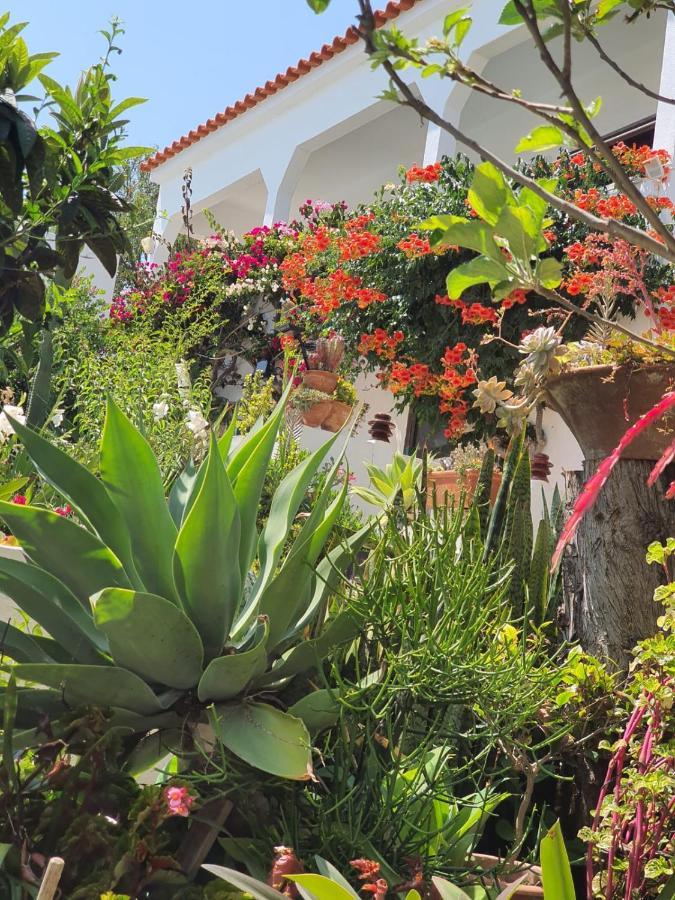 Villa Marrachinho Albufeira Dış mekan fotoğraf